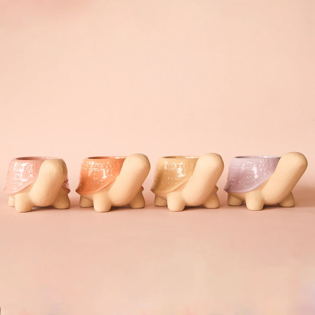 Turtle Ceramic Planter | Sunset Jungle Club