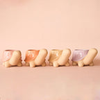 Turtle Ceramic Planter | Sunset Jungle Club